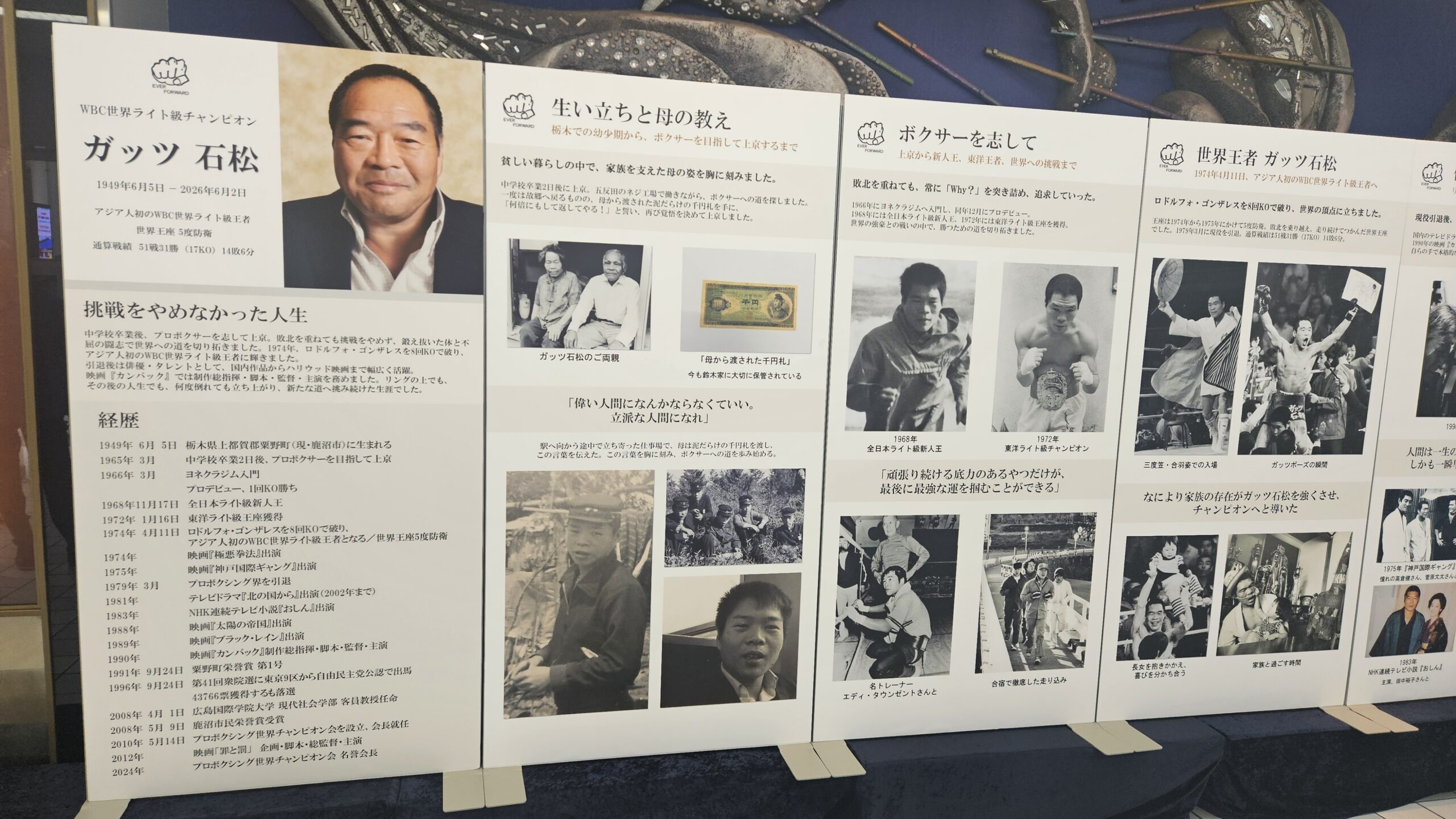 栃木県の純米吟醸 鹿沼娘